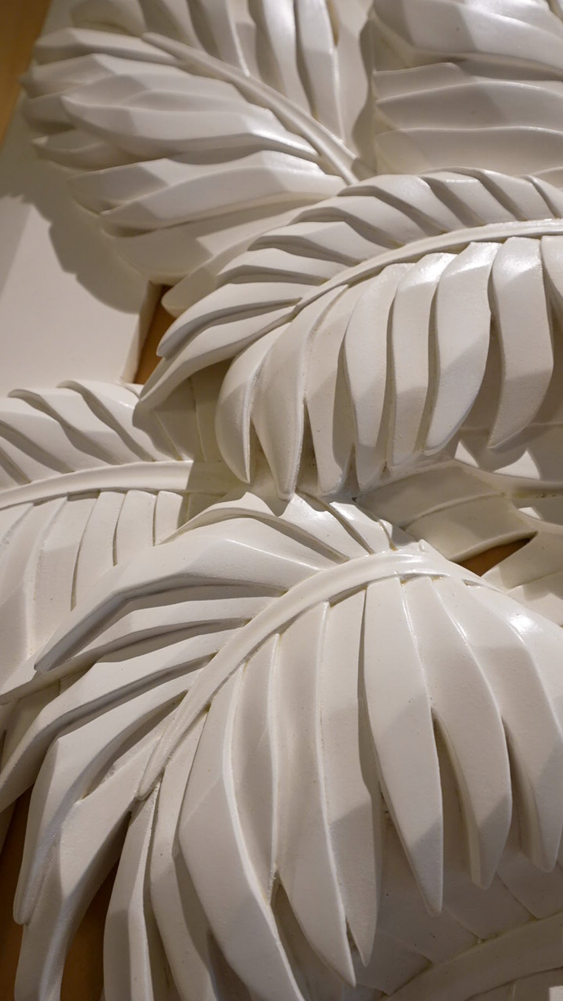 Breath of the Tropics