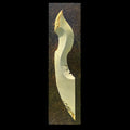 Fragment