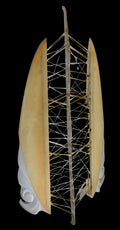 Kaula