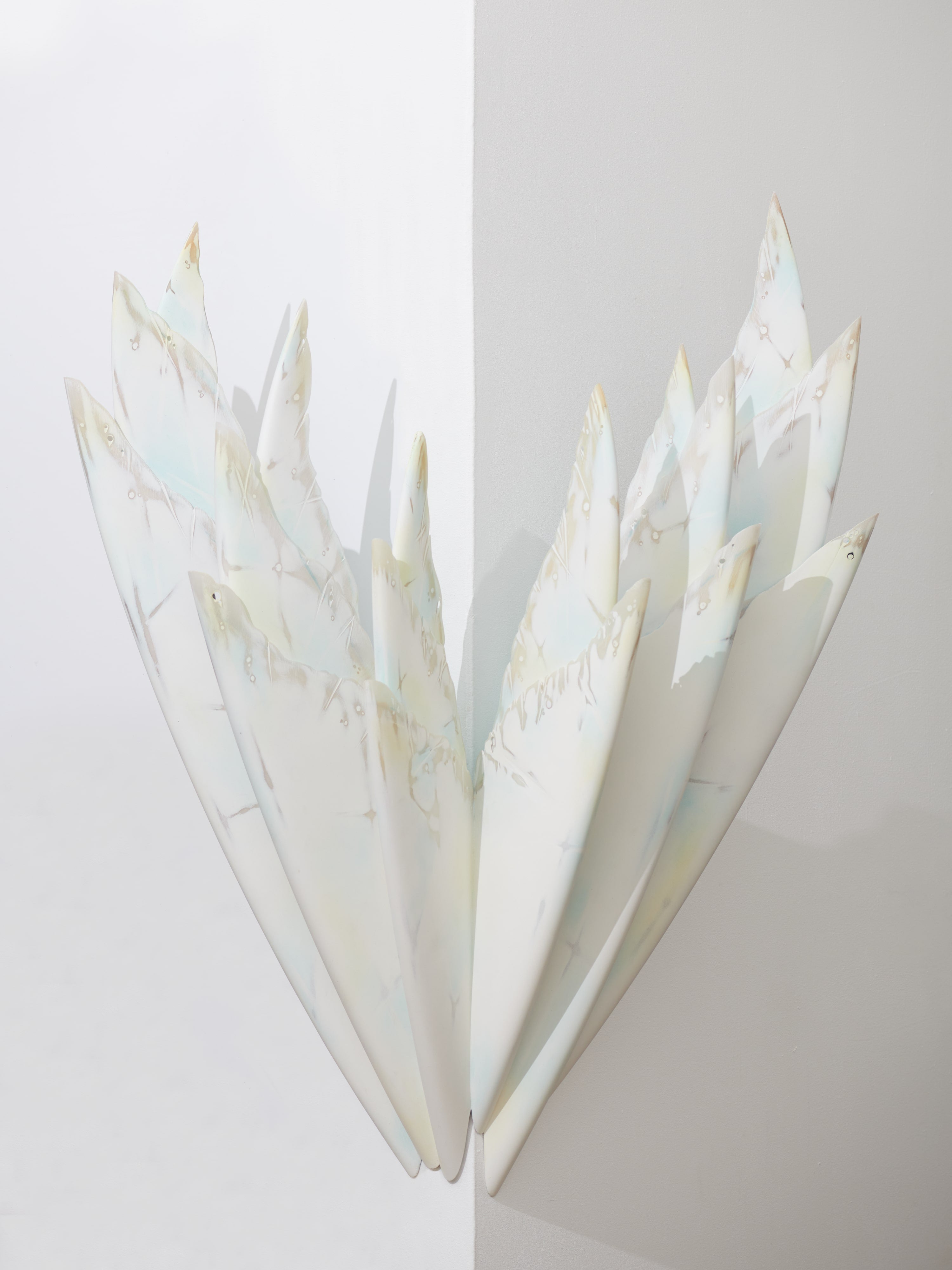 Seaflower #7