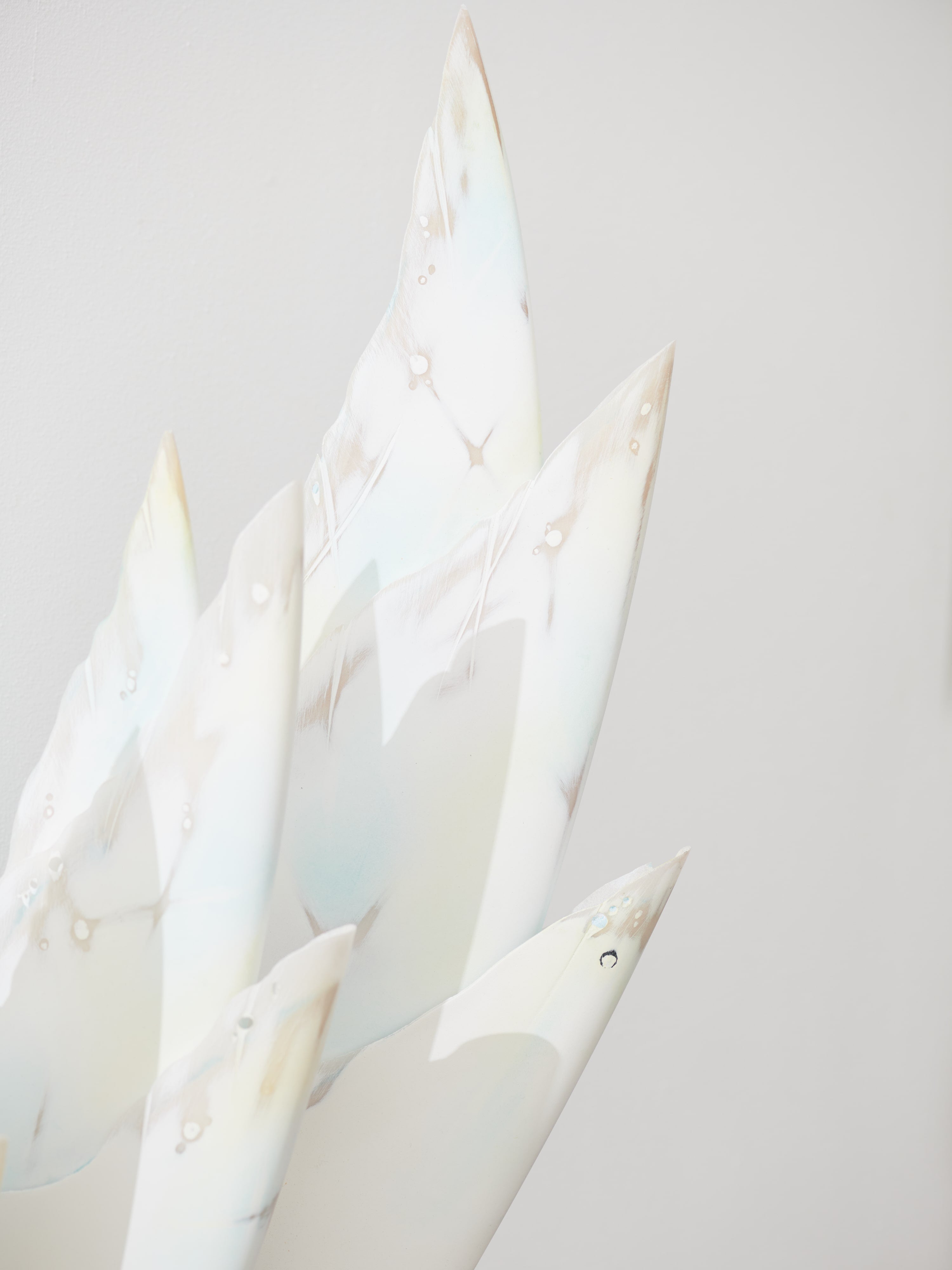 Seaflower #7