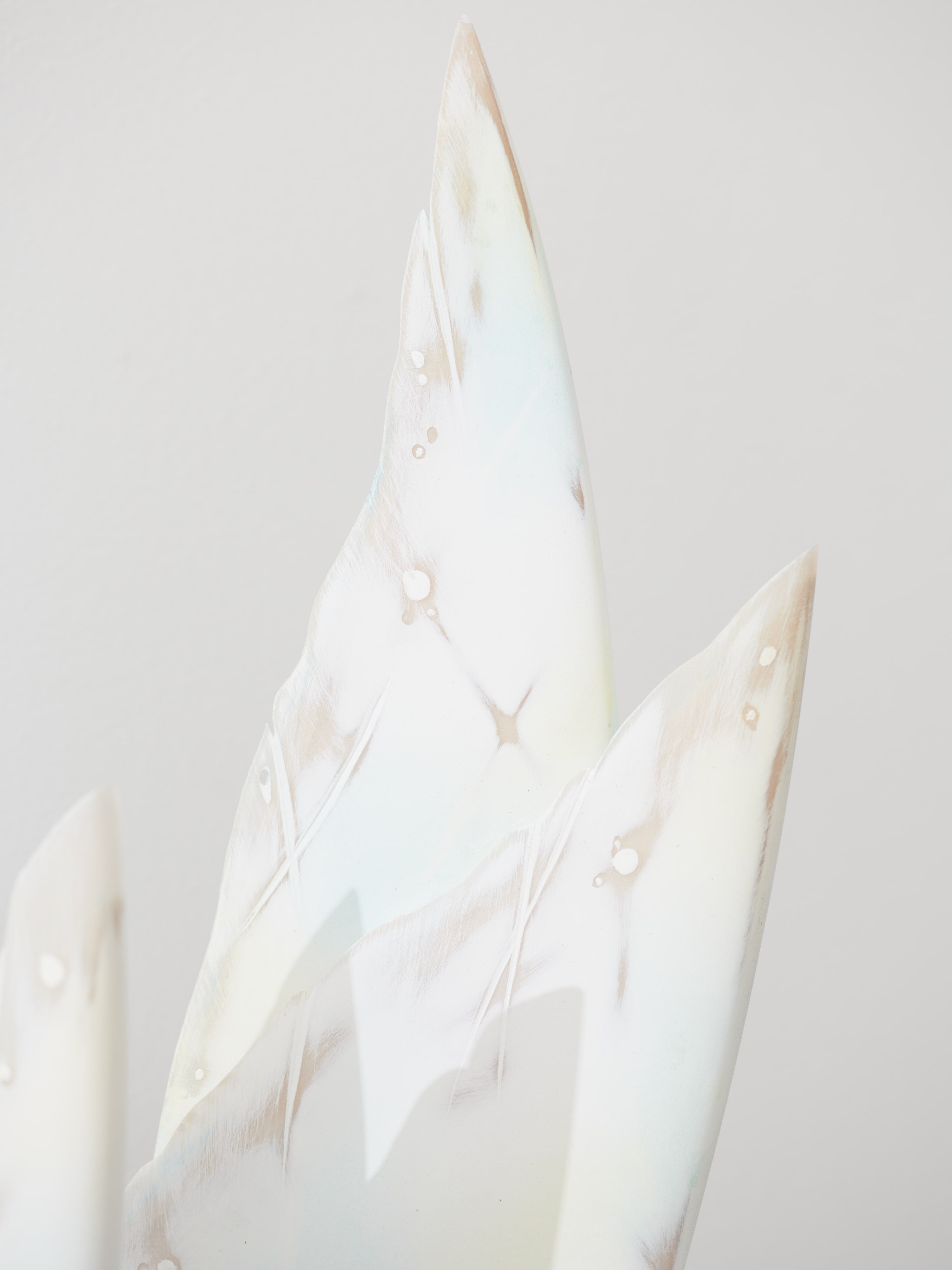 Seaflower #7