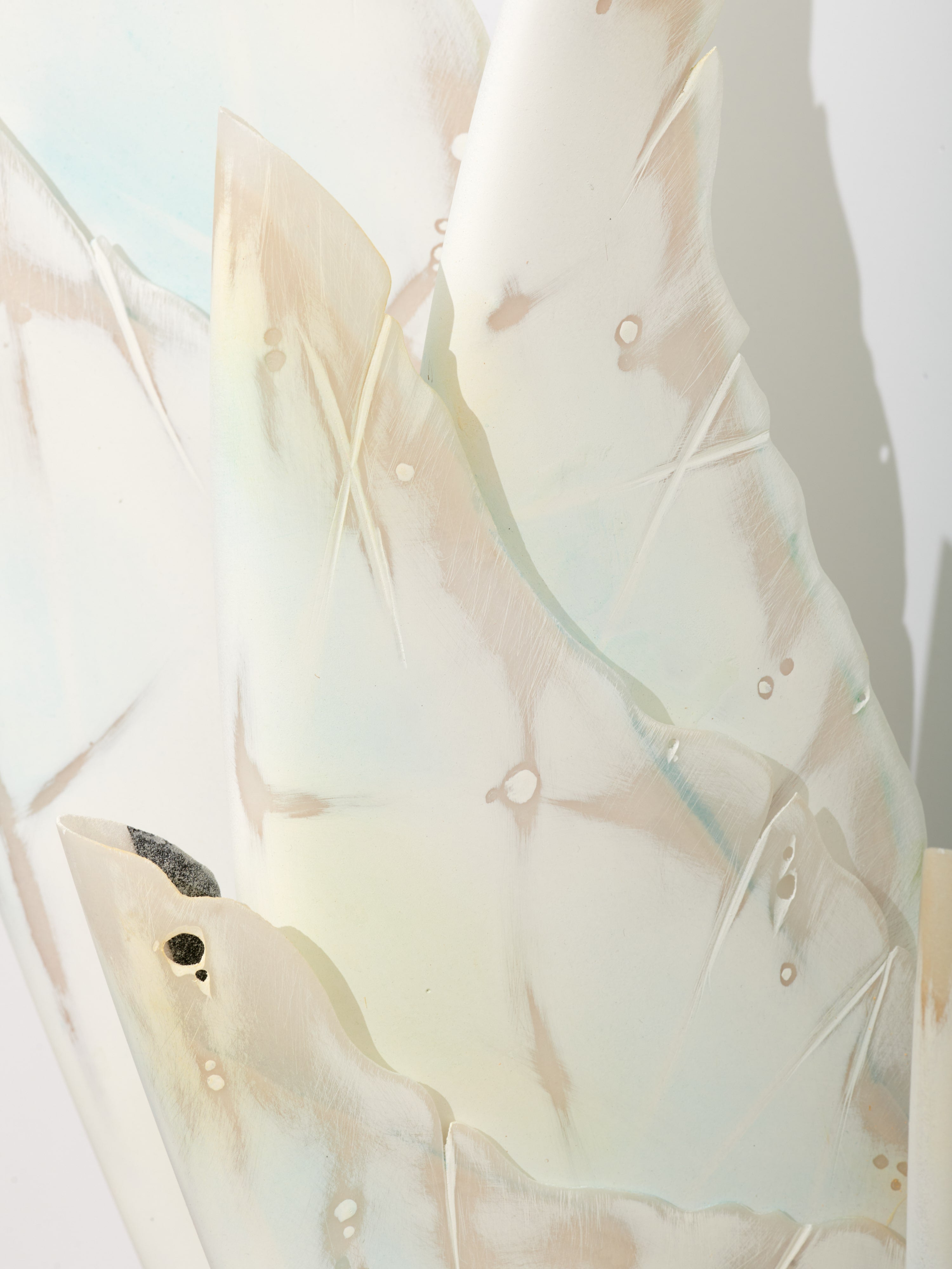 Seaflower #7
