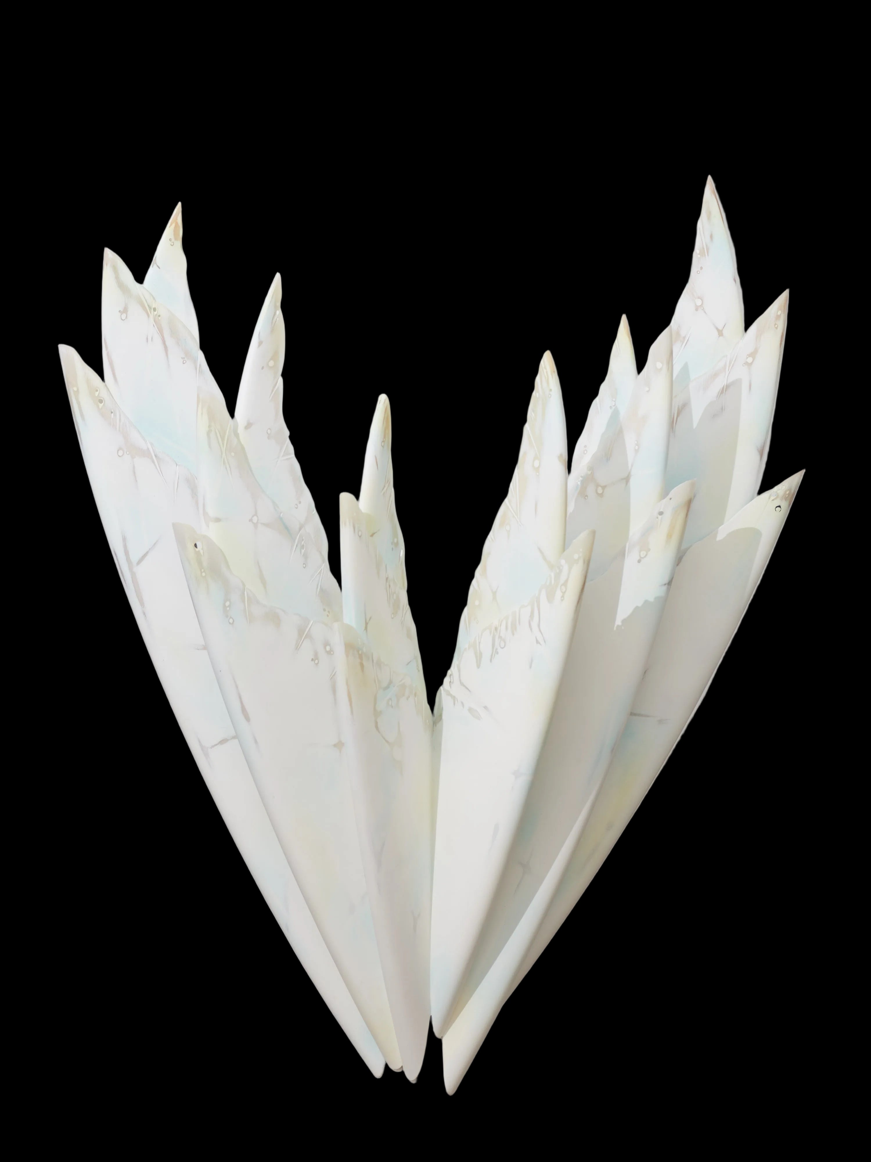 Seaflower #7